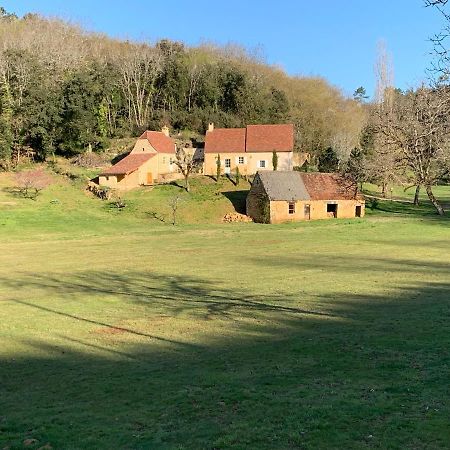 Gîte chez le Gaulois Carsac-Aillac Exterior foto