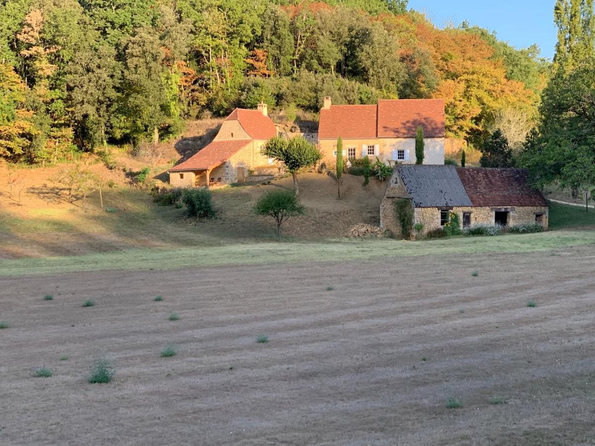 Gîte chez le Gaulois Carsac-Aillac Exterior foto