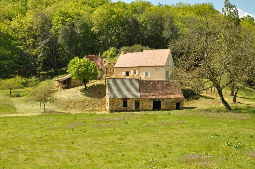 Gîte chez le Gaulois Carsac-Aillac Exterior foto