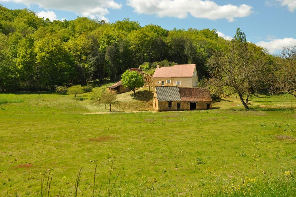 Gîte chez le Gaulois Carsac-Aillac Exterior foto
